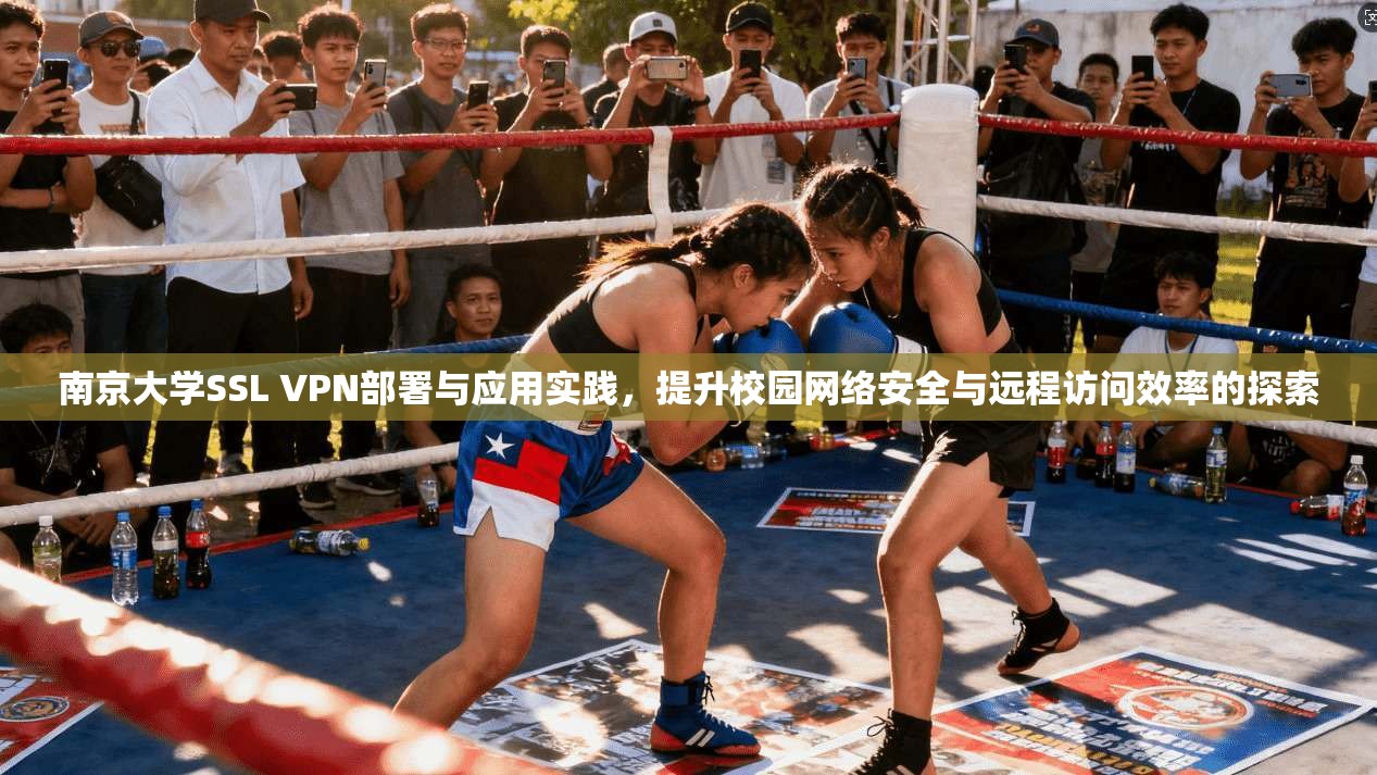 南京大学SSL VPN部署与应用实践,提升校园网络安全与远程访问效率的探索