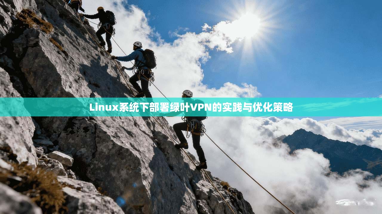 Linux系统下部署绿叶VPN的实践与优化策略