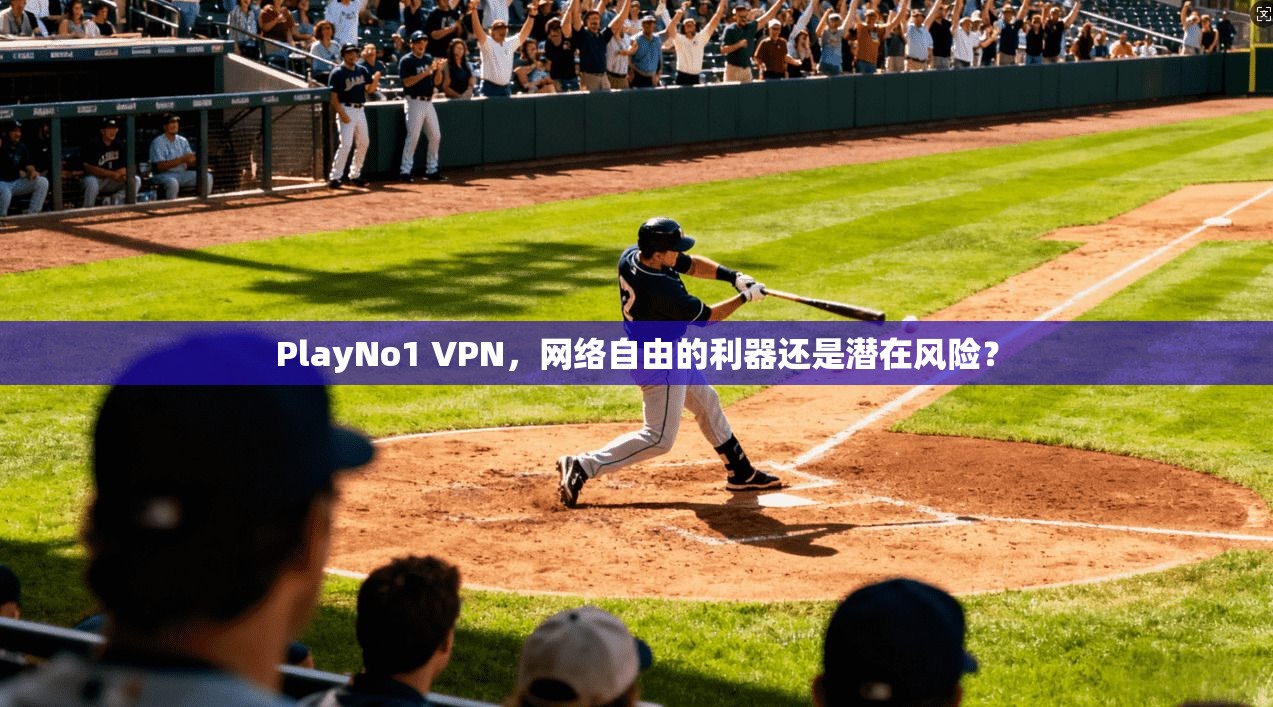 PlayNo1 VPN,网络自由的利器还是潜在风险?