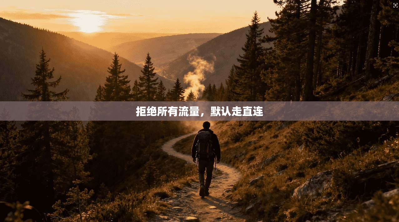 拒绝所有流量,默认走直连