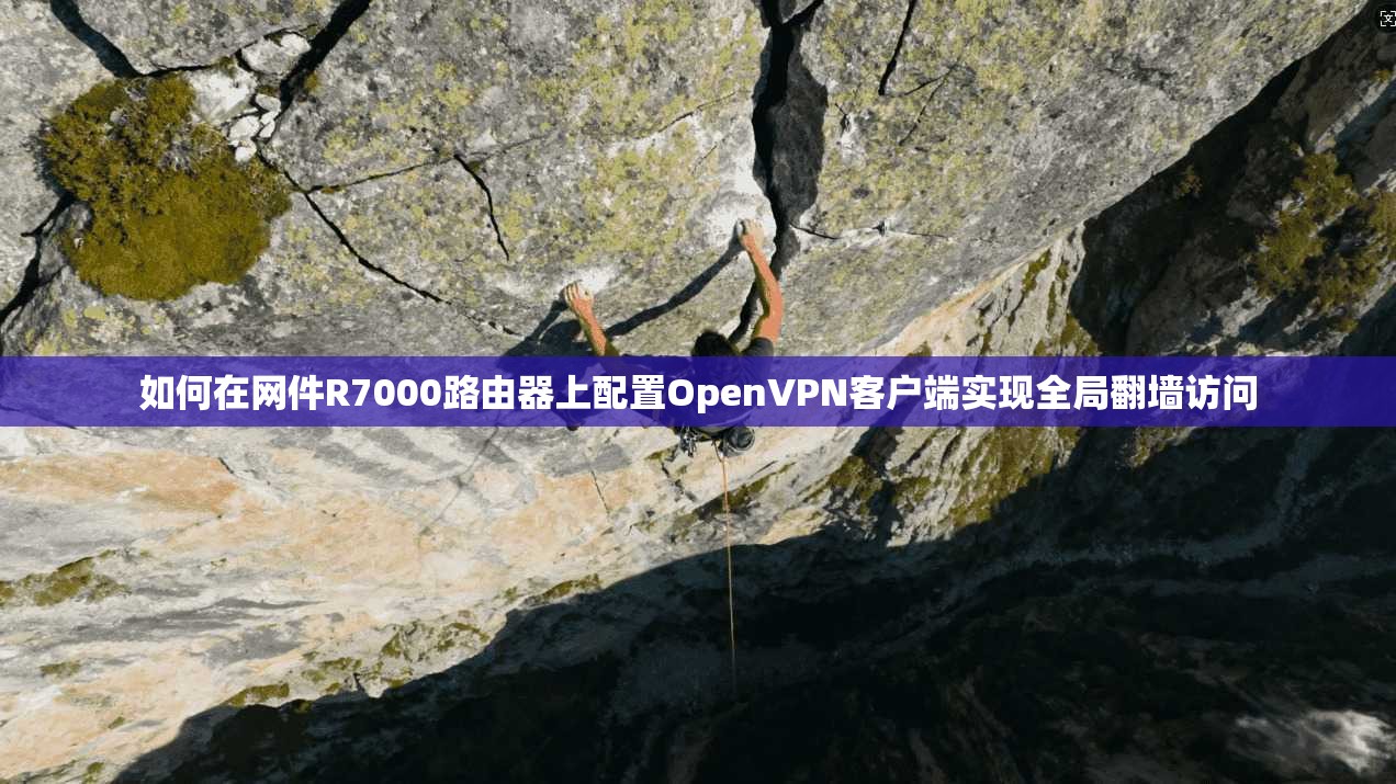 如何在网件R7000路由器上配置OpenVPN客户端实现全局翻墙访问