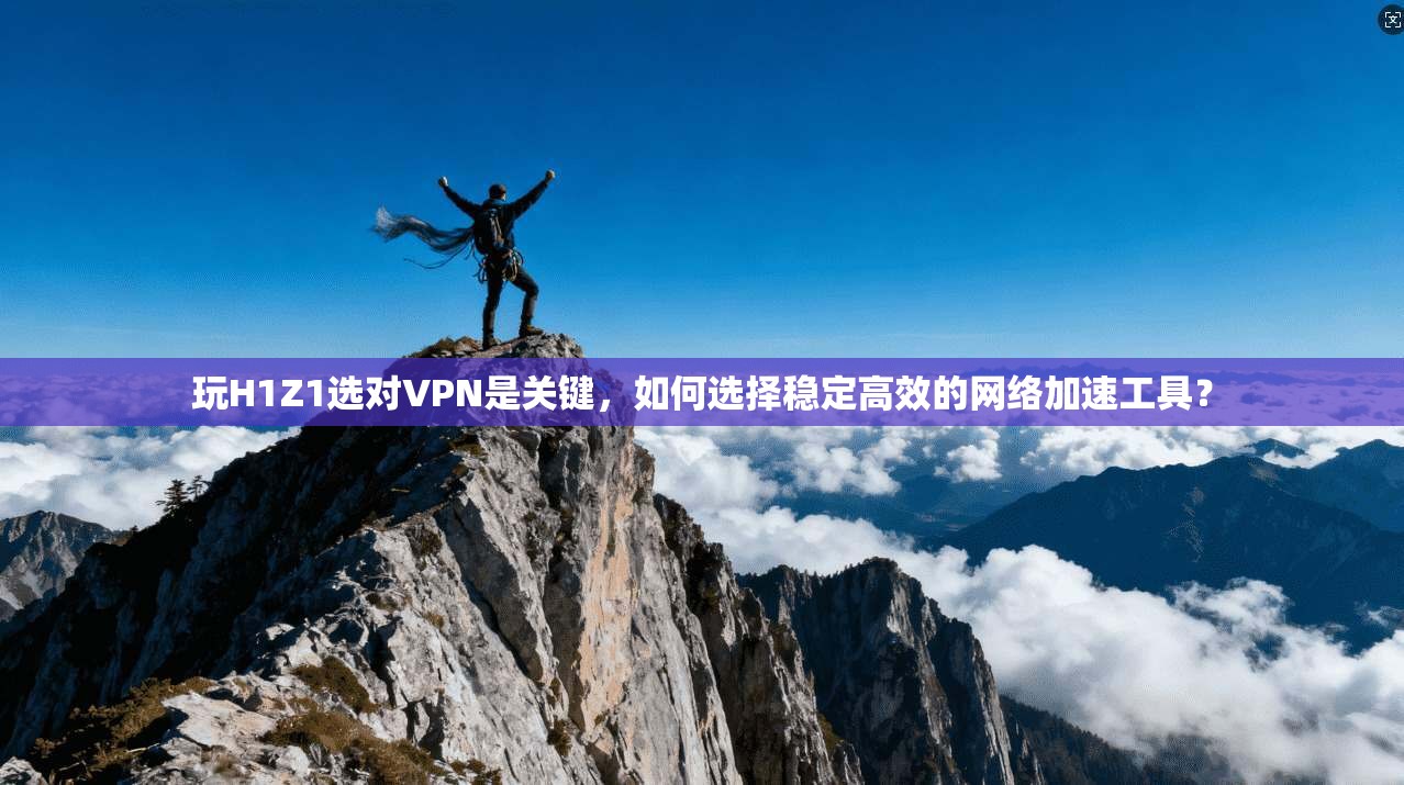 玩H1Z1选对VPN是关键,如何选择稳定高效的网络加速工具?