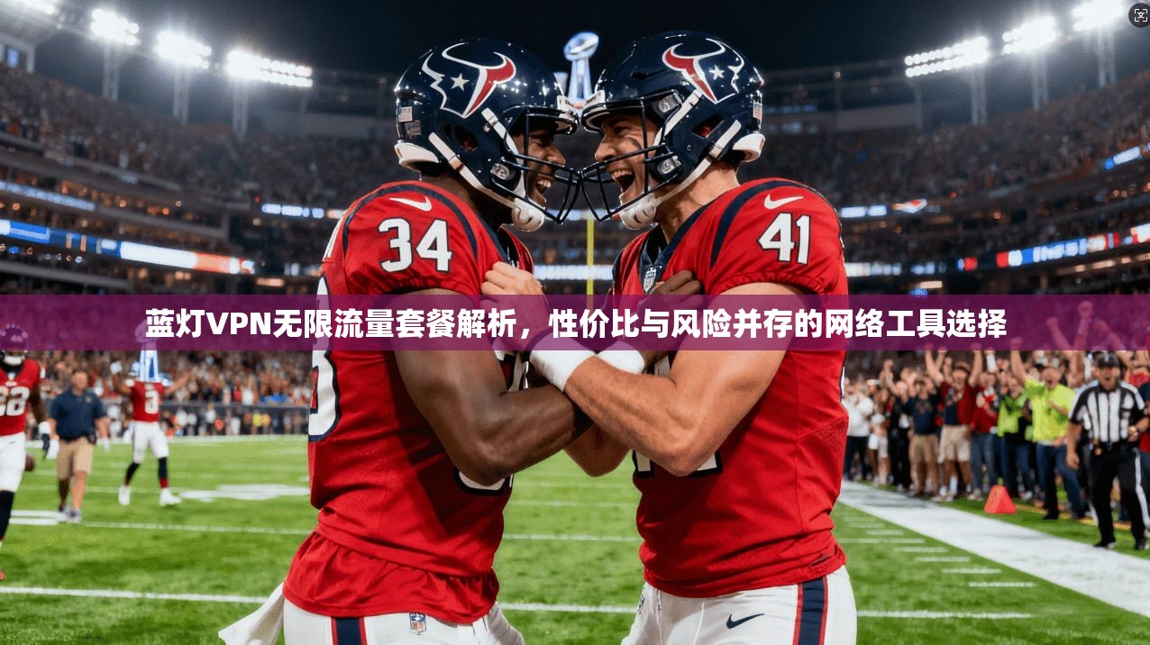 蓝灯VPN无限流量套餐解析,性价比与风险并存的网络工具选择